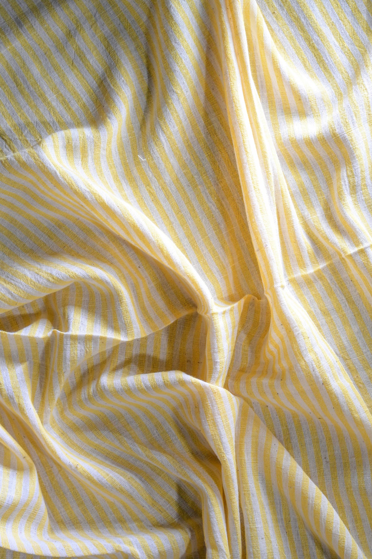 Pilo | Patta | Kala Cotton | Fabric