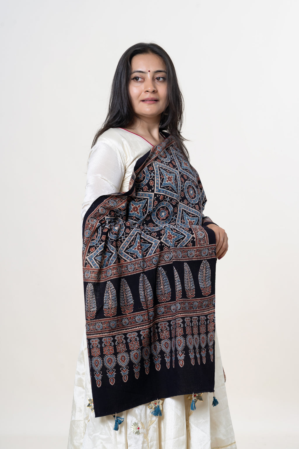 Black with Blue & Rust Ajrakh Hand-Block Print Kala Cotton Stole