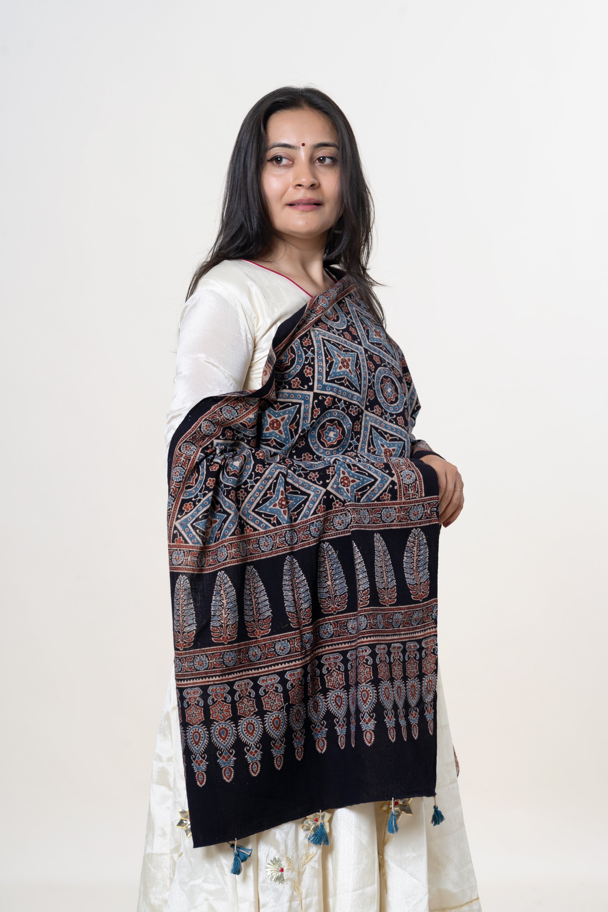 Black with Blue & Rust Ajrakh Hand-Block Print Kala Cotton Stole