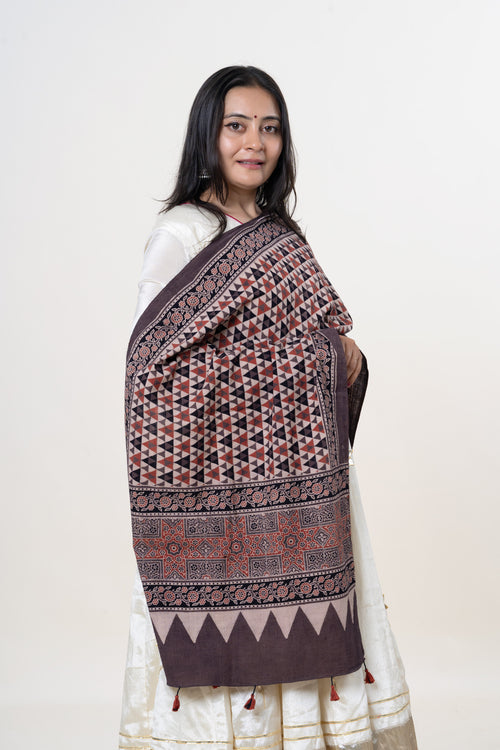 Brown with Red, Black & Cream Ajrakh Hand-Block Print Kala Cotton Stole